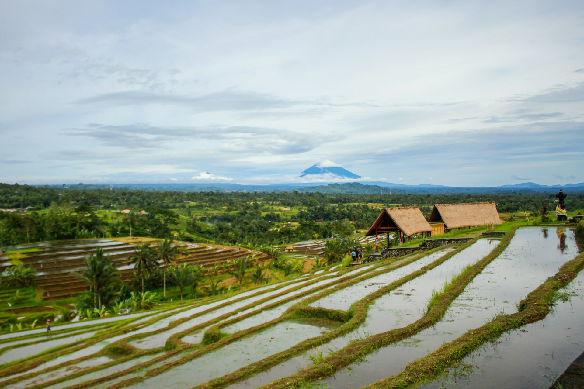 New Lanka Plantation - Contact Us