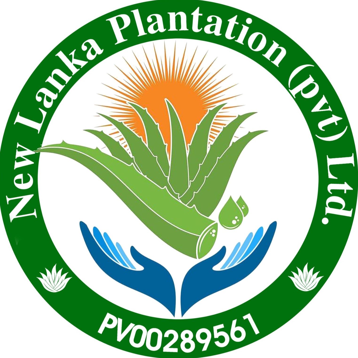 New Lanka Plantation (Pvt) Ltd