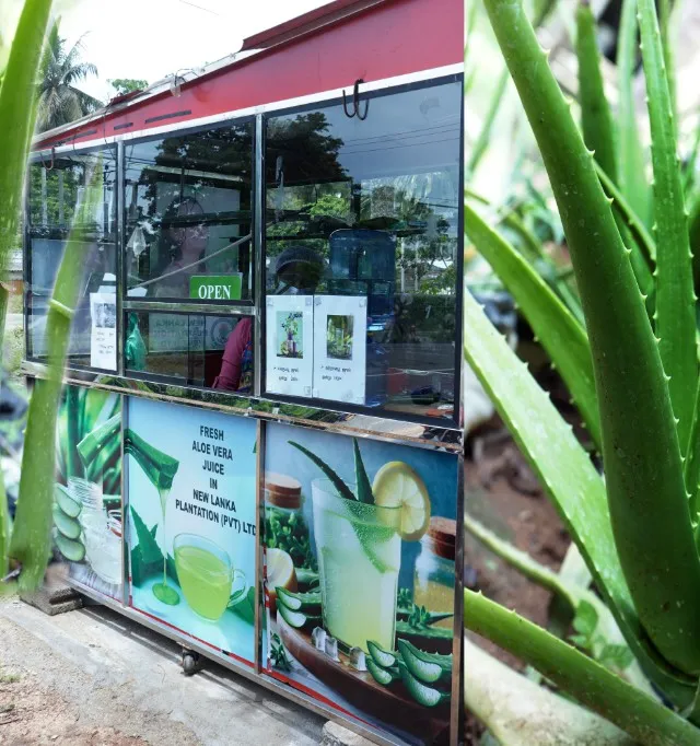 Aloe Vera Juice Bar - Vavuniya Branch