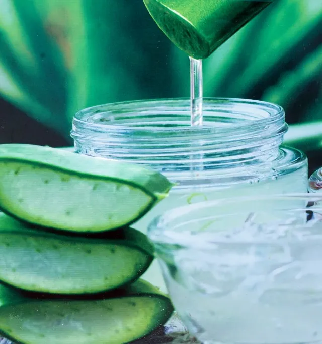 Aloe Vera Juice Bar - Vavuniya Branch - Photo 2
