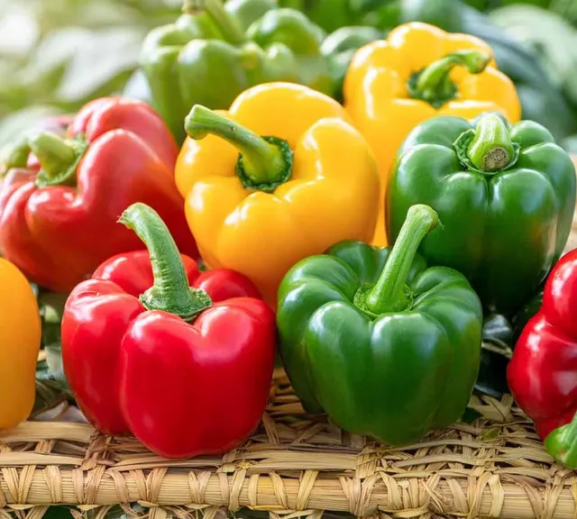Capsicum