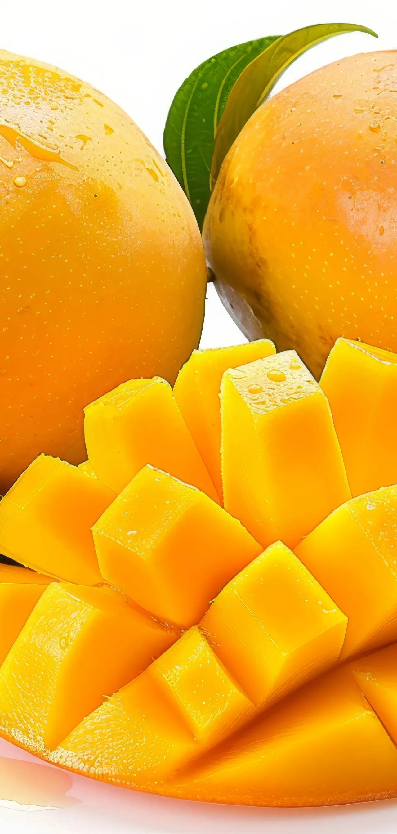 Mango